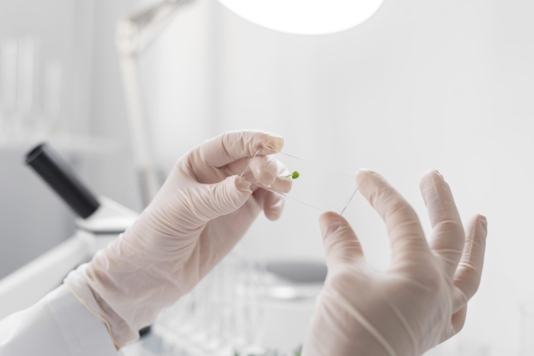 임상시험 단계별 전략과 한국 CRO의 역할: 신약개발 성공 가이드