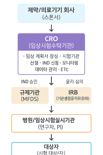 CRO(임상시험수탁기관)는 무엇이며 제약·바이오 산업에서 어떤 역할을 하는가? 2 CRO의 개념을 보여주는 인포그래픽 예시