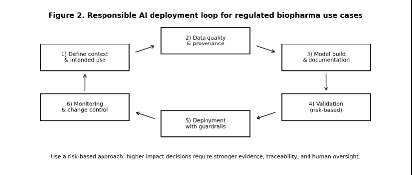 Figure 2. Responsible Al deployment loop for regulated biopharma use cases
